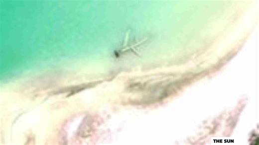 Amelia Earhart's Lost Plane 'Likely' Found, Research Team Claims