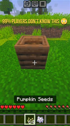 Minecraft secret you missed! #laddilappa #minecraft #shorts