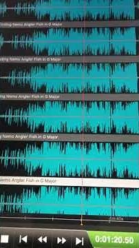Finding Nemo Electric Fish in G Major Squared