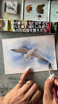 水彩絵の具でカモメを描くには #tips #watercolor #イラスト #watercolortips #アート #描き方 #水彩メイキング #透明水彩 #イラストメイキング