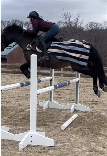 Exploring the Joy of Horse Riding
