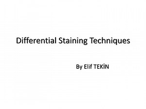Differential Staining Techniques - SlideServe