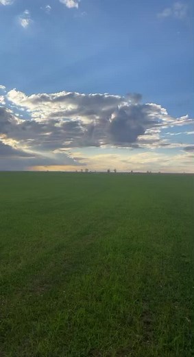 Serene Open Field with Lush Green Grass
