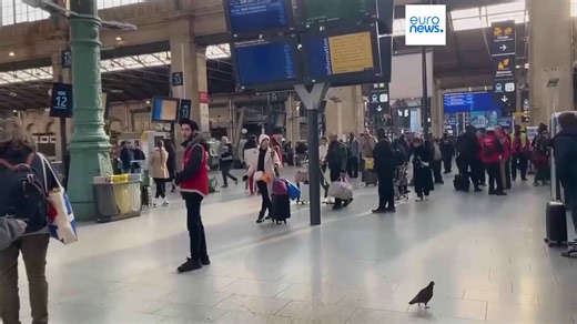 Eurostar trains cancelled after unexploded WWII bomb found in Paris