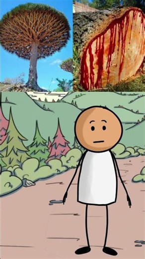 This Tree Bleeds Like a Human When Cut 😳🌳🩸