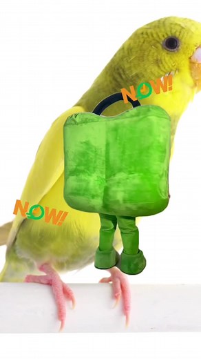 Tokopedia Official on TikTok