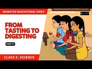 From Tasting To Digesting | Part 1/2 | Class 5 EVS Chapter 3 | TicTacLearn English | Class 5