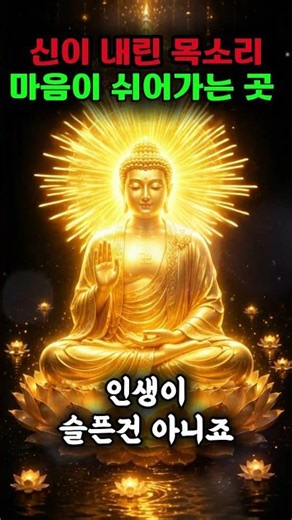 듣자마자 눈물 나고 가슴이 먹먹해지는 불교노래 #불교음악 #관세음보살 #소원성취 #깊은기도음악 #찬불가