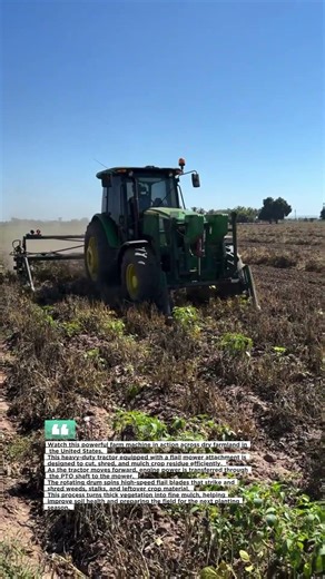 Heavy Duty Flail Mower Tractor in Action! #Farming #Agriculture #USA