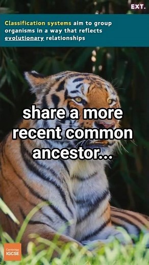 IGCSE Biology - Classification and EVOLUTION (1.2) #science #biology