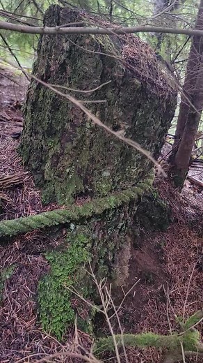 2.2K views · 130 reactions | Copper mine glory hole dating to 1908. Western Washington. | Ghost Towns and Mines of Washington | Facebook