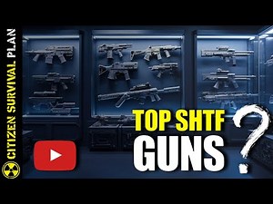 Top 4 Guns when SHTF