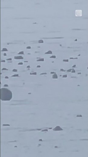 Have you ever seen snow rollers? Snow, wind, and temperature combine for this rare winter phenomenon