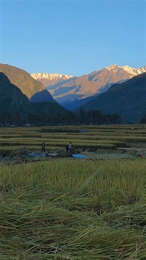 #goodmorning 🌾🌄 | Kalak Jung Khadka