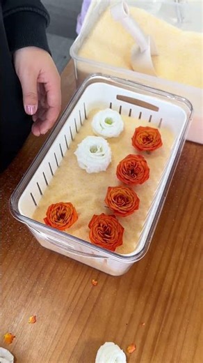 Ready to create your first dried flower masterpiece of the year? 🌸✨