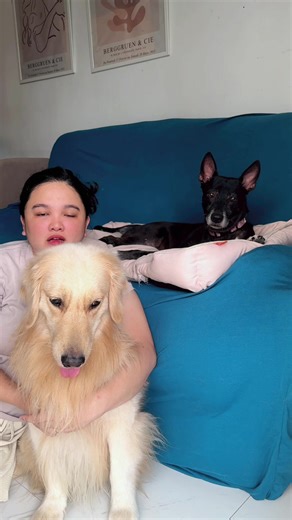 Training Casi: New Caregiver Decision and School Journey