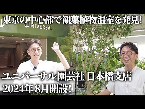 【東京の中心部で観葉植物温室を発見！】2024年 8月開設！ ユニバーサル園芸社 日本橋支店をご紹介します！