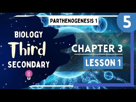 Biology 3rd Secondary Egypt - Chapter 3 - Lesson 1 - P5 (Parthenogenesis 1)
