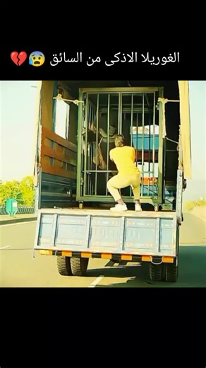 #سوريا_تركيا_العراق_السعودية_الكوي #الشعب_الصيني_ماله_حل😂😂 #cap #vlog #fyp