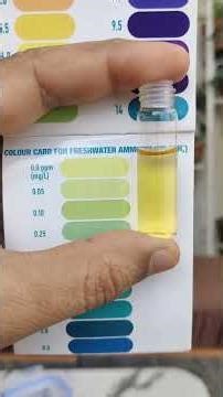 Leo’s Aqua Culture 🌿🐟| Tank Health Check | Water Test Results