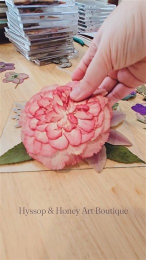 Pressed flower art is my favorite way to let nature linger. We capture their natural pigment, texture, shape, etc, and then display them in beautiful refinished frames. Every petal is hand-pressed, placed, and preserved — turning fleeting flowers into forever art 🌸 #PressedFlowerArt #FlowerTherapy #CraftyWeekend #HandmadeWithLove #FloralVibes #DIYCrafts #CreativeBloom #PressedPetals #NatureLover #FloralDecor #PetalPower #PressedFlowerArt #BotanicalArt #CreativeProcess #StudioMoments #ArtInProgr