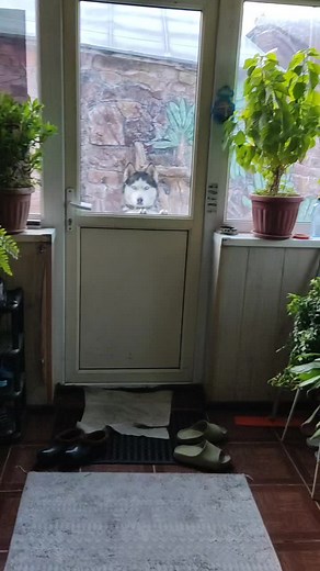 ne.dontsova on TikTok