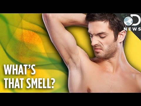 Why Do We Have Such Bad Body Odor?