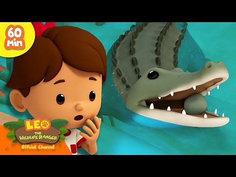 RUN! THE CROCODILE IS COMING! | FEROCIOUS ANIMALS! | Leo the Wildlife Rangers | Kids Cartoon
