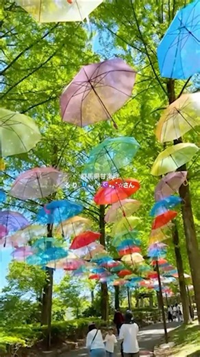 【季節の彩り】5月のおでかけ #通勤タイパ #japantravel #おでかけ