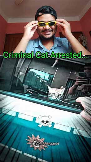 3.7K views · 34 reactions | Cat Arrested By Police  আইন সবার জন্য সমান  #review #videoreview #reviewvideo #Amazing #BMW #trending #viral #reels #cat #catlife #CatLover #police #arreted | Sohag Prodhan | Facebook