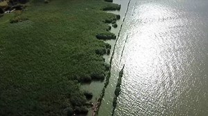 220K views · 1.6K reactions | A wetland in Kunming, China is an outdoor exhibition site for a UN biodiversity conference to be held next week in the city. Find out how the wetland has taken on a new look with increased ecological restoration. #GLOBALink | China Xinhua News | Facebook