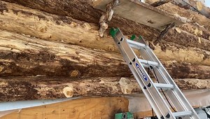 9.9K views · 807 reactions | Alaska. Now. Cat-proof. | Marty Raney | Facebook