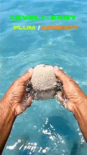 Only 1% Guess All 3 Levels 😳 #brainchallenge #beach #helpmemakethismakesense #challenge