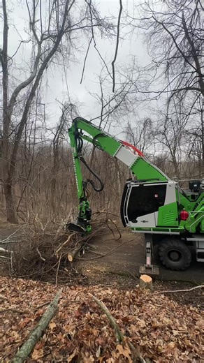 Tree Damage Solutions: Sennebogen 718 in Action