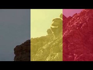 Lion King 2019 - Mufasas Death (Flemish) 🇧🇪