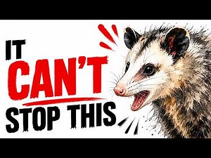 Why OPOSSUMS Can't Actually CHOOSE to PLAY DEAD