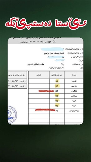 Doctor Birmand's Insights on Grade 12 Politics