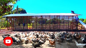 7.4K views · 458 reactions | Dexter's World on Reels | Facebook