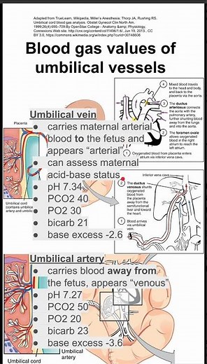 Blood gas values of umbilical vessels