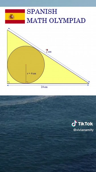 Vivian Amity on TikTok