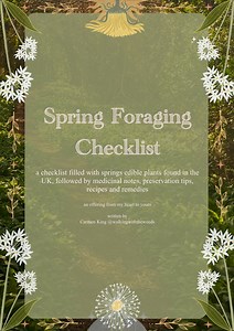 Spring Foraging Checklist, Medicinal Foraging Guide, Spring Equinox, Medicinal Recipes, Homemade Remedies, Interactive Checklist - Etsy Canada