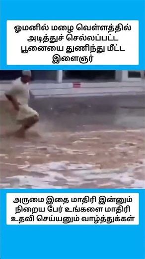 Omani youth bravely rescues cat swept away by flood #shorts