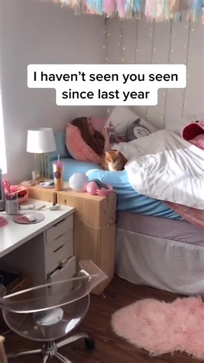 34K views · 250 reactions | Every dad on New Years Day 拾 #Welcome2021 #dadjokes #jokes #badjokes #dadsoftiktok #comedy #funny #viral #fyp #foryou #waynebutler #comedy #throwback | Wayne Butler | Facebook