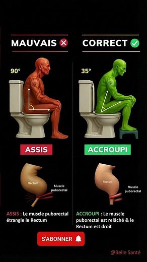 Comment faire ses besoins, selon la science :Assis ou Accroupi ?