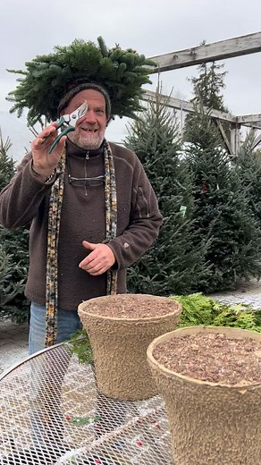 154K views · 1K reactions | Day Two: Build your own custom holiday container with Plant Daddy B.  Due to a shortage in staffing, we will not be offering holiday greens or Christmas trees this year.  | LittleTree Garden Market | Facebook