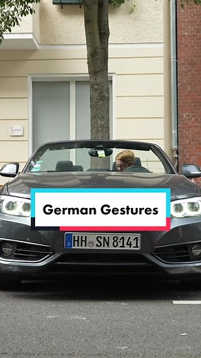 German Bird Gesture Explained
