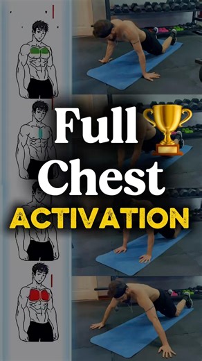 4 Push-Up Variations to Build a Bigger Chest (Animated Muscle Breakdown) 🔥💪🏻‪@MiladRahimifit‬