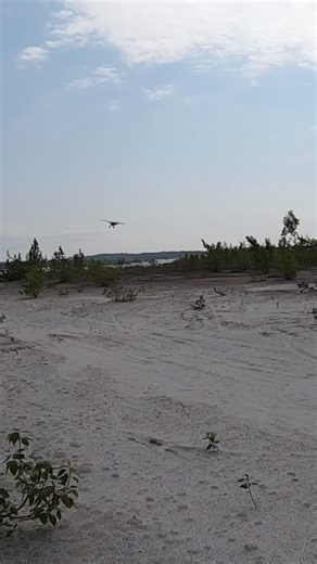 Backcountry Landing on Sandy Strip in Alaska. #BackcountryFlying #BushPilot #STOL #OffAirportLanding #BackcountryLanding #AlaskaFlying #AlaskaPilot #FlyAlaska #AviationLife #PilotLife #AdventureFlying #WildAlaska #TheLastFrontier | Matt Williams