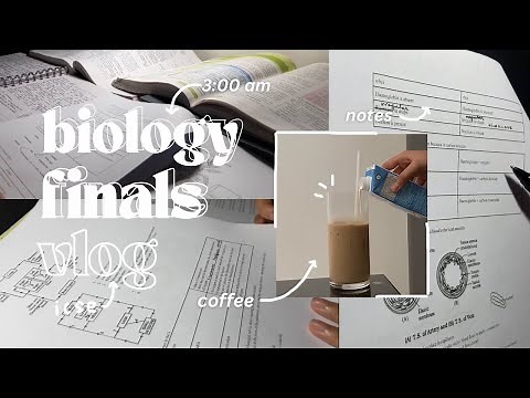 studying last minute for my biology finals | lofi and asmr | needie