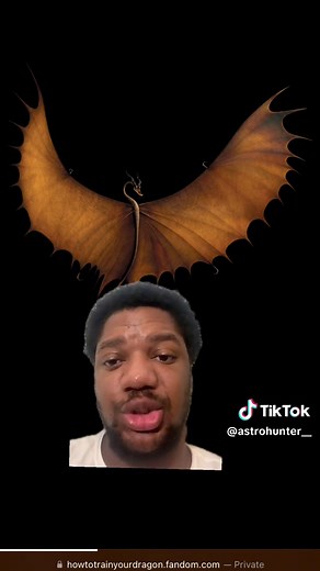 Timberjacks and Dragons: A How to Train Your Dragon Adventure